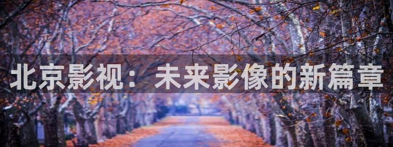 妈妈的朋友4奇优影院：北京影视：未来影像的新篇章