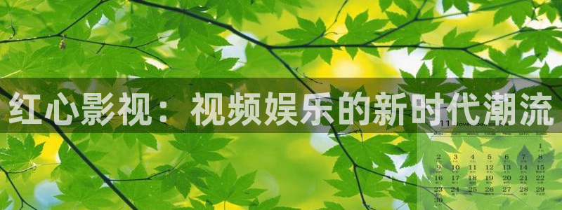 奇优影院在线观看手机